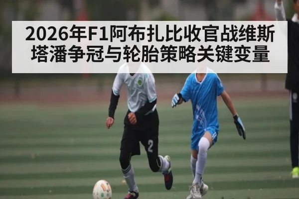 2026年F1阿布扎比收官战维斯塔潘争冠与轮胎策略关键变量